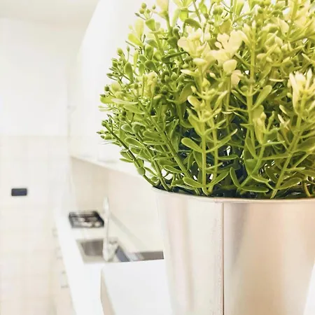 Ventaglieri15 Appartement Naples